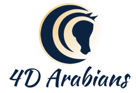 Logo 4D Arabians